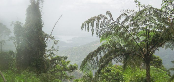 Sierra Maestra Cuba